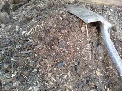 Adventures in Composting Human Waste into ‘Humanure’ Fertilizer Image